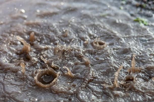 雨落下起涟漪的背景