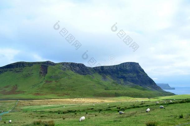 令人晕倒的高原地区采用苏格兰和葱翠的绿色的小山