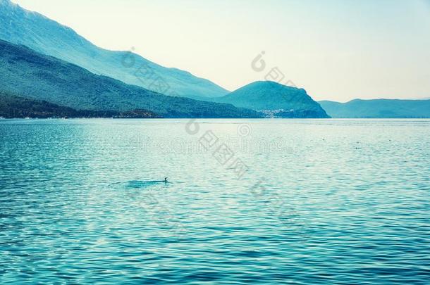 鸟向湖奥赫里德,Maced向ia