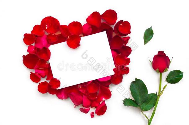 空白的赠品卡片向<strong>心形</strong>状关于红色的玫瑰<strong>花瓣</strong>
