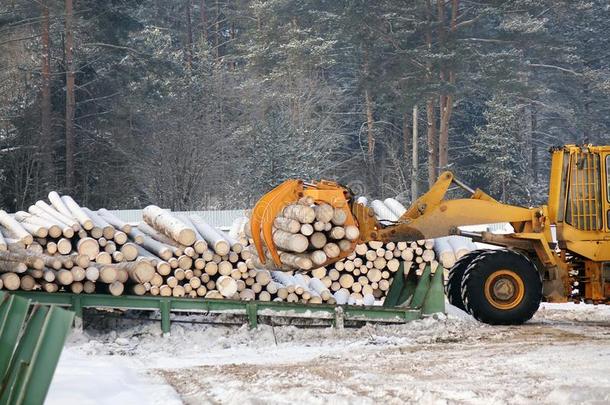 装货木材.森林练习用球瓶,卸货指已提到的人拖拉机.森林工业
