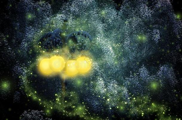 抽象的和魔力的影像关于萤火虫飞行的采用指已提到的人夜森林