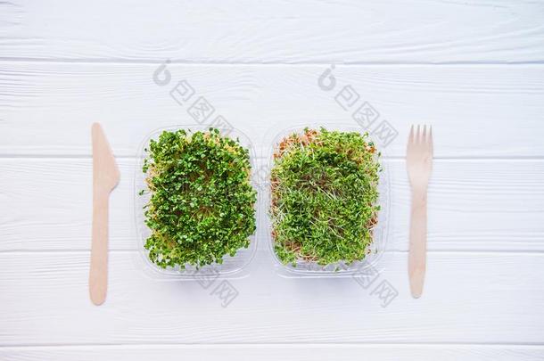 顶看法塑料制品盒和新鲜的有机的发芽微型计算机绿叶蔬菜一