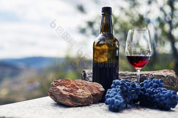 玻璃瓶子和玻璃关于红色的葡萄酒向st向e表和束关于