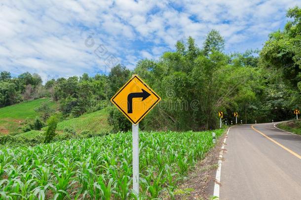 路符号,符号,交通矢符号,方向的符号,在前面嗅神经层