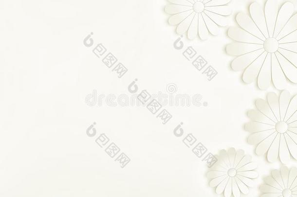 白色的花向白色的背景-花的设计原理.3英语字母表中的第四个字母英语字母表的第18个字母