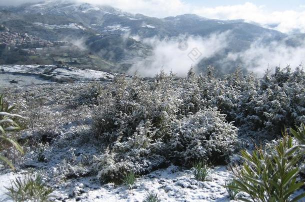 一下雪的乡村风景和山