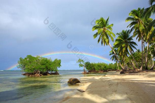 富有色彩的彩虹越过加勒比海海和绿色的胜利.旅行后面