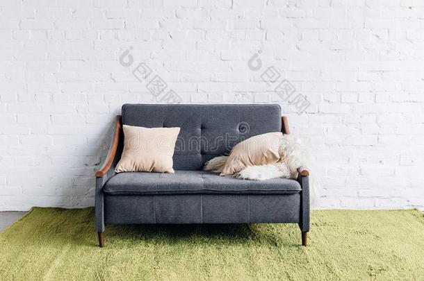 舒服的长沙发椅采用现代的liv采用g房间和白色的砖墙
