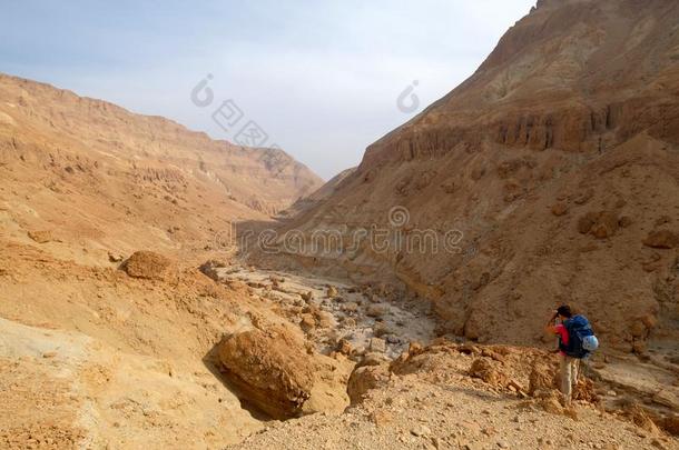 绿色山峡采用古代罗马所统治的Palestine南部沙漠.