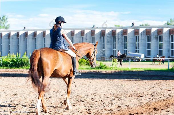 十几岁的女孩骑马的骑马在马背上的在骑马学校位