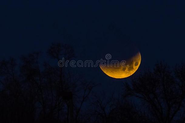 超级的蓝色血月亮2018蒙哥马利,亚拉巴马