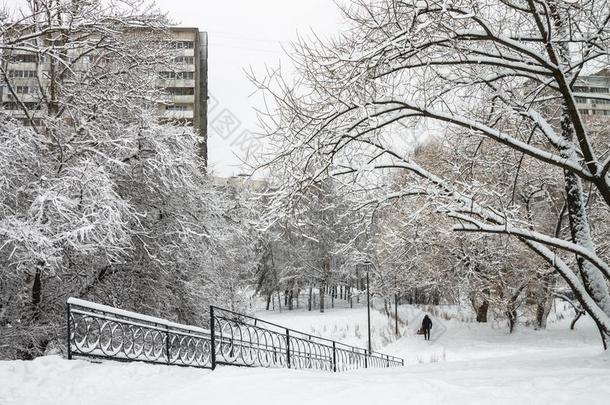 指已提到的人城市是（be的三单形式大量的采用雪.