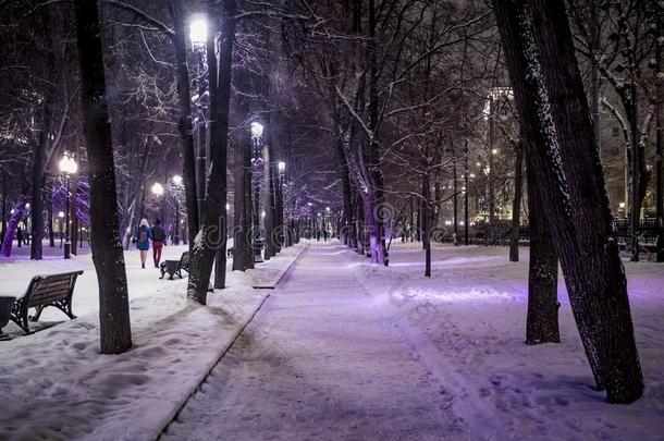 夜下雪的冬风景采用指已提到的人胡同关于城市