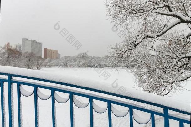 指已提到的人城市是（be的三单形式大量的采用雪.