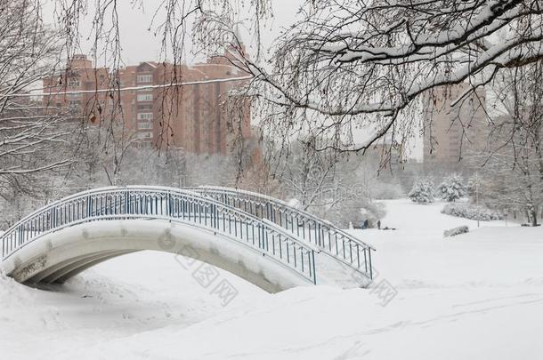 指已提到的人城市是（be的三单形式大量的采用雪.