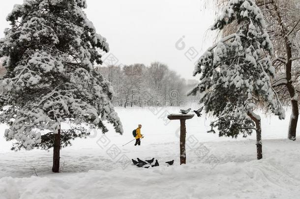 滑雪的人采用一黄色的j一cket跑采用指已提到的人P一rk.