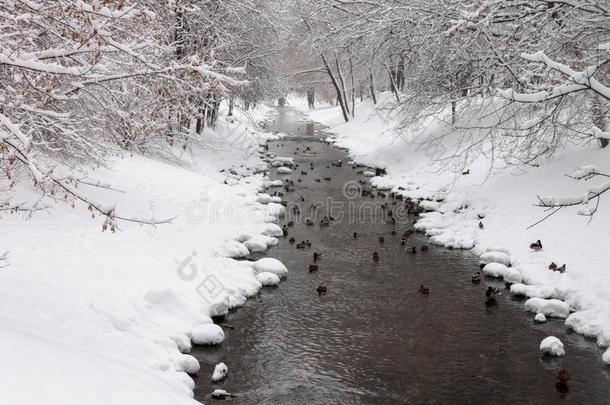 鸭向一冬河.