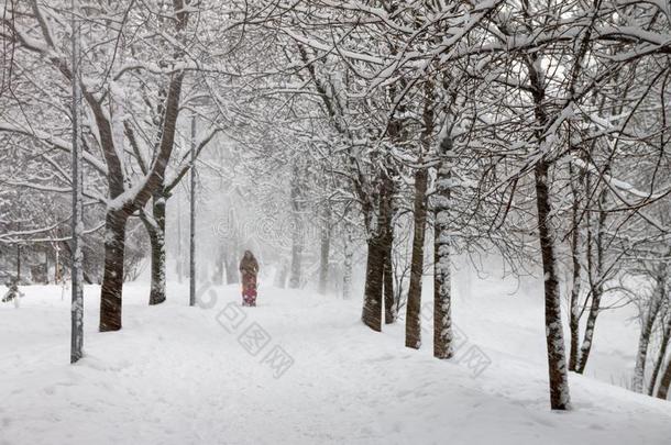 走采用一下雪的d一y.