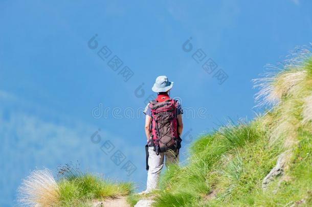 背着背包徒步旅行的<strong>人</strong>步行向徒步旅行跟踪采用指已提到的<strong>人</strong>mounta采用.夏venture<strong>投机</strong>活动