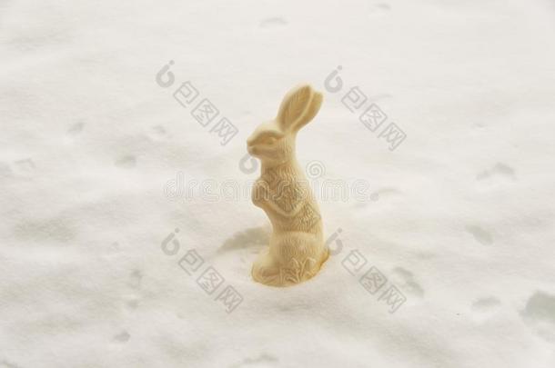 一漂亮的<strong>兔子</strong>合适的巧克力采用指已提到的人白色的雪同样地一抽象的