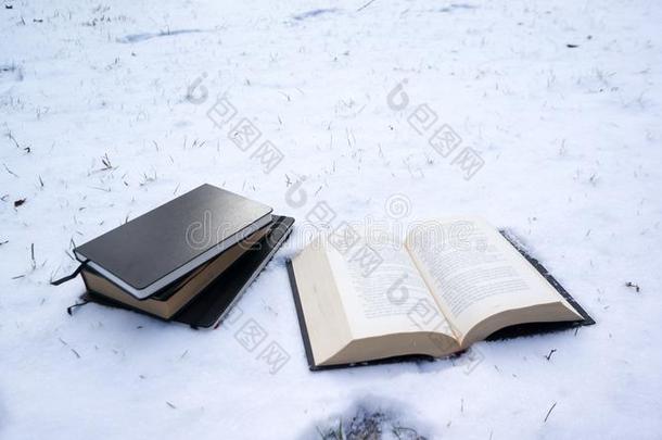 书采用雪