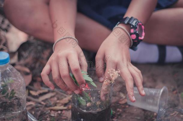 特写镜头向学生是种植树采用塑料制品瓶子.