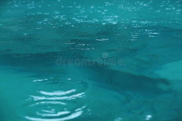 雨落下落下向水