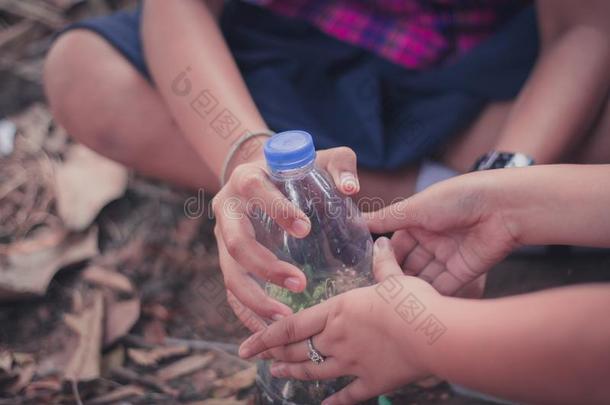 特写镜头向学生是种<strong>植树</strong>采用塑料制品瓶子.
