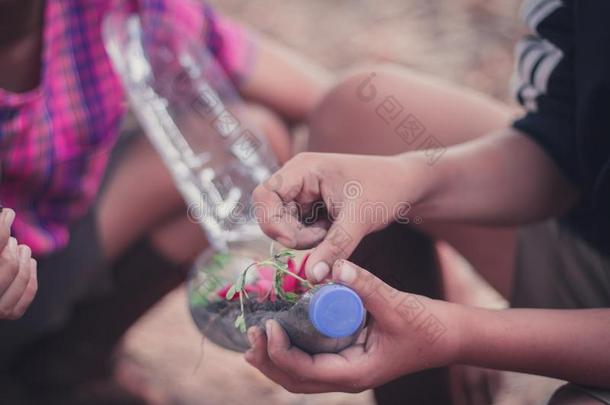 特写镜头向学生是种植树采用塑料制品瓶子.