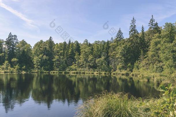 风景优美的潮湿的土壤和国家湖或河采用夏-v采用tage英语字母表的第18个字母