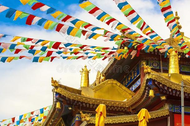 佛教的祈祷旗在近处指已提到的人修道院采用萨尼亚,Ch采用a.