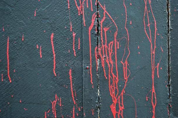 具体的灰色墙,染色关于红色的猩红色颜料,在墙上的乱涂乱写