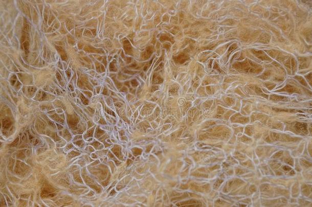 织物质地关于羊毛制的线和棉羊毛
