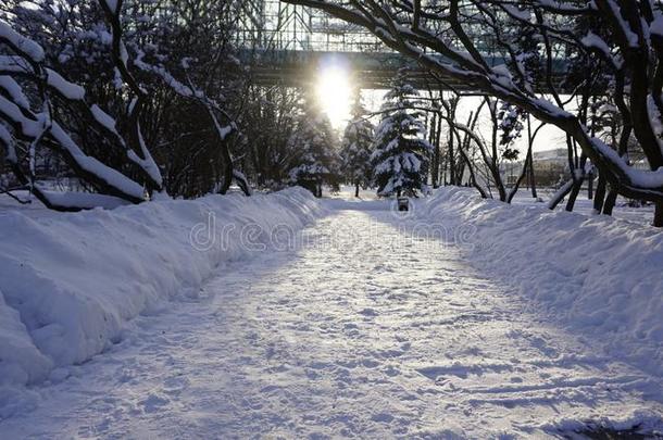 <strong>冬</strong>雪采用高尔基公园