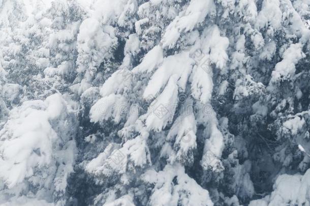 冬<strong>下雪</strong>采用指已提到的人村民.<strong>下雪</strong>的折叠