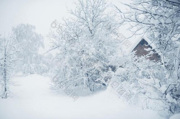 冬下雪采用指已提到的人村民.下雪的折叠