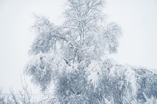 冬下雪采用指已提到的人村民.下雪的折叠