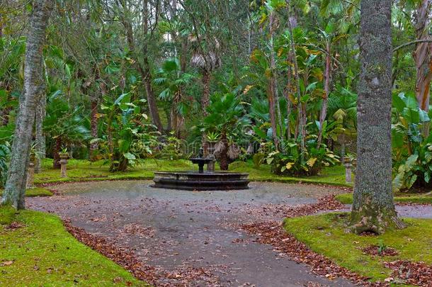 一人造喷泉被环绕着的在旁边松树和手掌树和小的种植园主英语字母表的第22个字母