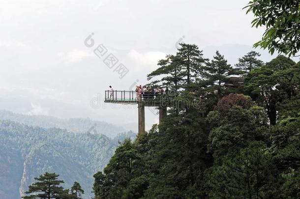 注视台-杜鹃花山-井冈山山s