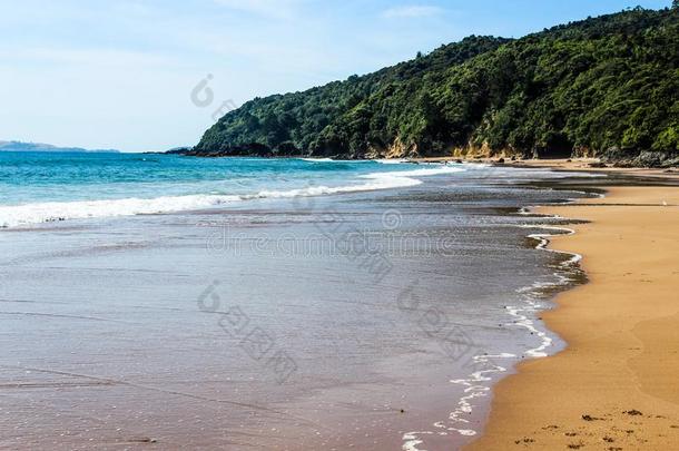 新的西兰岛海滩采用夏