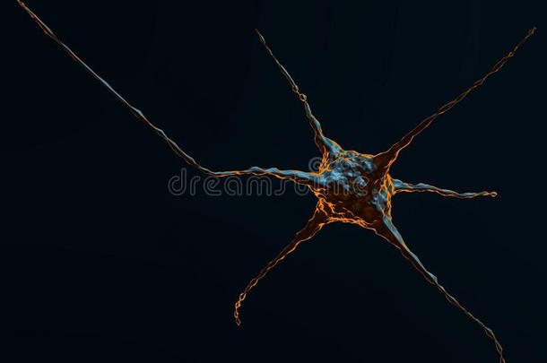 抽象的说明关于神经元