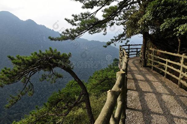 小路一起指已提到的人悬崖-杜鹃花山-<strong>井冈山</strong>山s