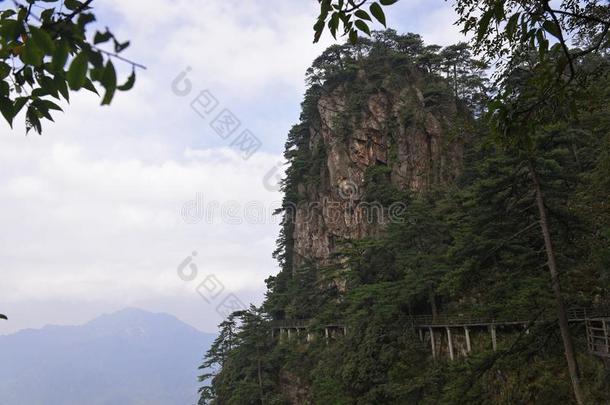 小路一起指已提到的人悬崖-杜鹃花山-<strong>井冈山</strong>山s