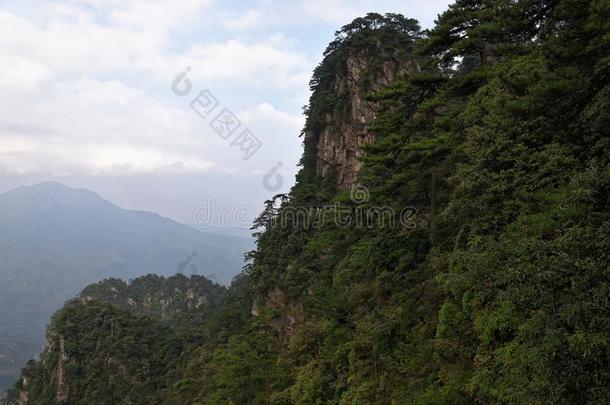 小路一起指已提到的人悬崖-杜鹃花山-井冈山山s