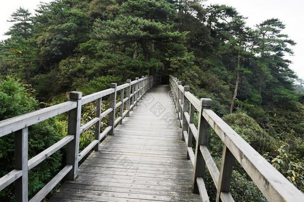 小路一起指已提到的人悬崖-杜鹃花山-<strong>井冈山</strong>山s