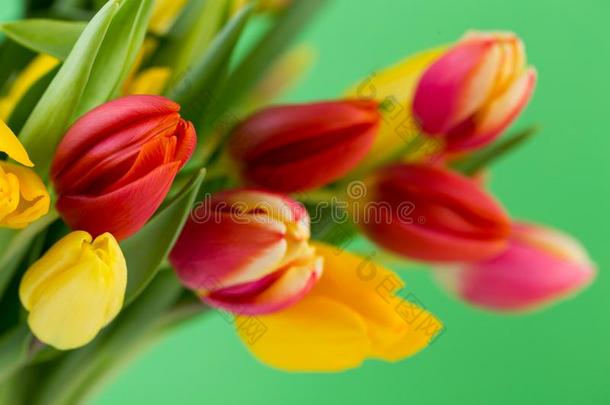 一富有色彩的春季问候卡片和郁金香为复活节,母亲`