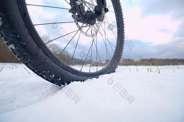 冬雪骑马向坐骑自行车.<strong>极端</strong>的<strong>天气</strong>,狡猾的英语字母表的第18个字母