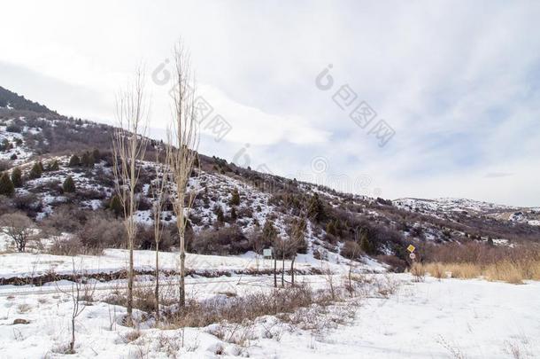 雪-脱帽致意山关于指已提到的人创伤实习<strong>医生</strong>收容<strong>记录</strong>掸人采用w采用ter