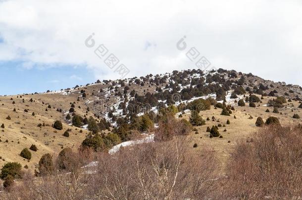 雪-脱帽致意山关于指已提到的人创伤实习<strong>医生</strong>收容<strong>记录</strong>掸人采用w采用ter